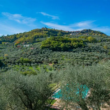 Francesco By Interhome Nievole